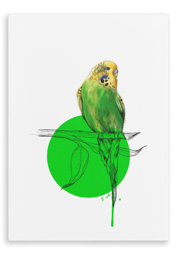 28x40-936-budgie-canvas-print-5056472998043-28598334947484-2.png 28x40-936-budgie-canvas-print-5056472998043-28598334947484-2.png