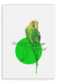 28x40-936-budgie-canvas-print-5056472998043-28598334947484-2.png