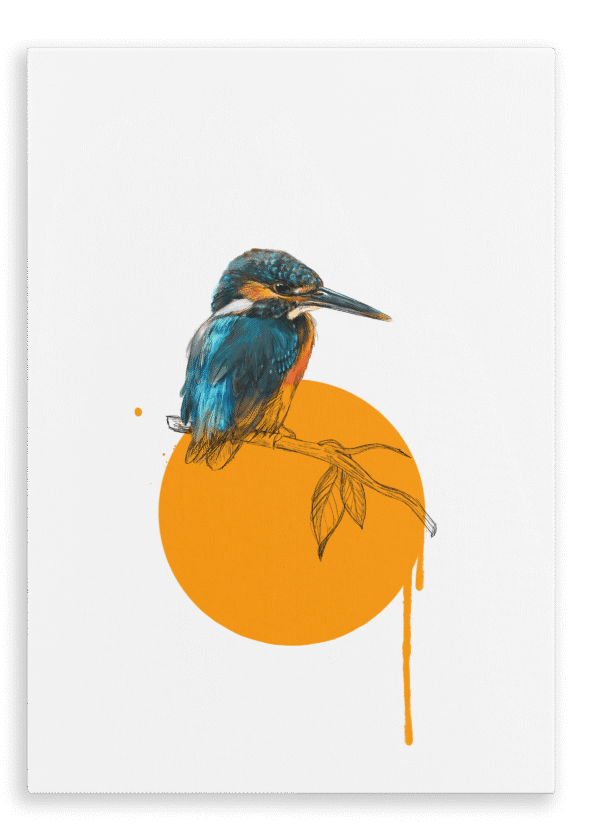 28x40-937-kingfisher-canvas-print-5056472998470-28598373744796-2.png