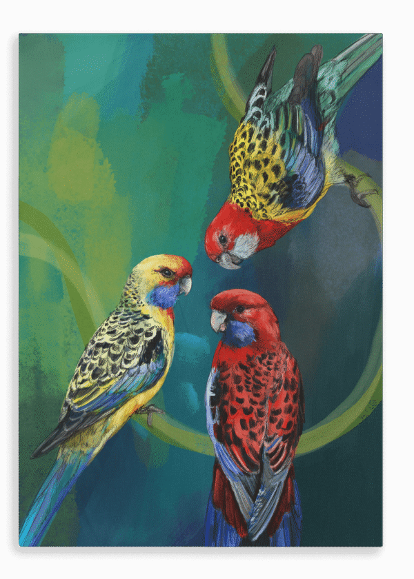 28x40-951-rondel-of-rosellas-canvas-print-5056472998395-28712100102300-2.png