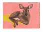 28x40FrontView_0140e968-bec4-4a76-a406-7f138be3844b-4.png