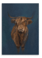 28x40FrontView_019c2577-3cc2-4310-b50e-18334210204a-2.png