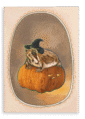 28x40FrontView_06501a1b-e41b-4397-b456-f17d72521c7c-5.png