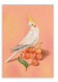 28x40FrontView_16a67392-bde0-47cd-9af3-4e112f4823ff-4.png