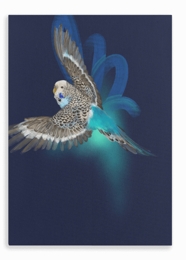 28x40FrontView_3b64b465-6e80-4c1d-bae3-e0230a79935d.png