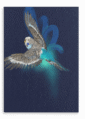 28x40FrontView_3b64b465-6e80-4c1d-bae3-e0230a79935d.png