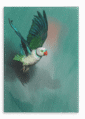 28x40FrontView_41c76500-596b-451c-9ed4-f5cb61f601f0.png
