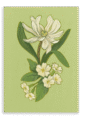 28x40FrontView_6214bd97-ffde-4bb7-8ea8-ace71ba21a17-5.png