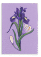 28x40FrontView_934272c8-0061-47eb-b542-9b83232b6363-4.png