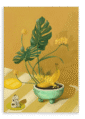 28x40FrontView_9ca1c09a-1885-4799-a903-95e4ec4d619b-5.png