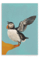 28x40FrontView_d87ed1cc-421c-447d-81a9-3465a0cf2845-4.png
