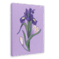 28x40MainImageSideView_02999719-281b-43c2-bf02-177328c9ee51-4.png