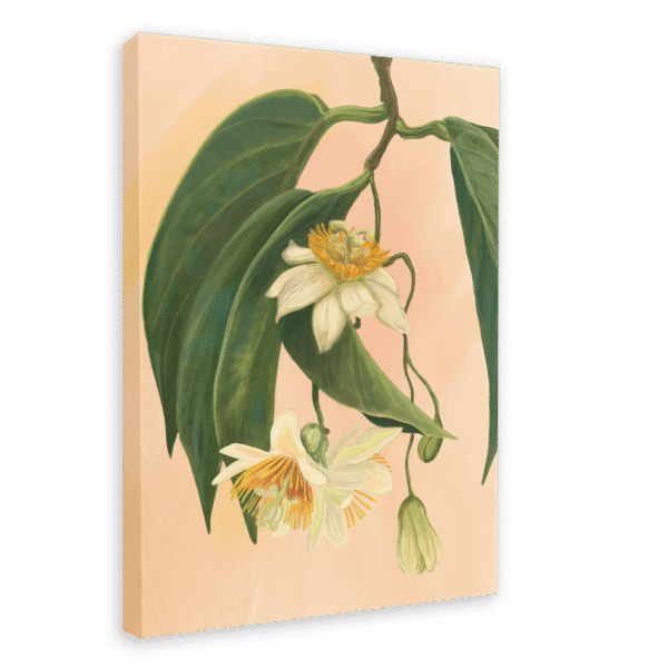 28x40MainImageSideView_04c70a6d-db64-4b29-9f7a-db9581fcac4c.png