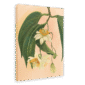 28x40MainImageSideView_04c70a6d-db64-4b29-9f7a-db9581fcac4c.png