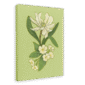 28x40MainImageSideView_41c29977-2547-47a7-a16f-985d395fffcf-5.png