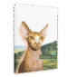 28x40MainImageSideView_dc587cd0-afbd-4159-bd7e-46351ddc95c1-2.png
