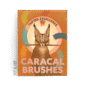 30x40-981-canvas-caracal-brushes-canvas-print-5056472906048-18460607742108-4.png