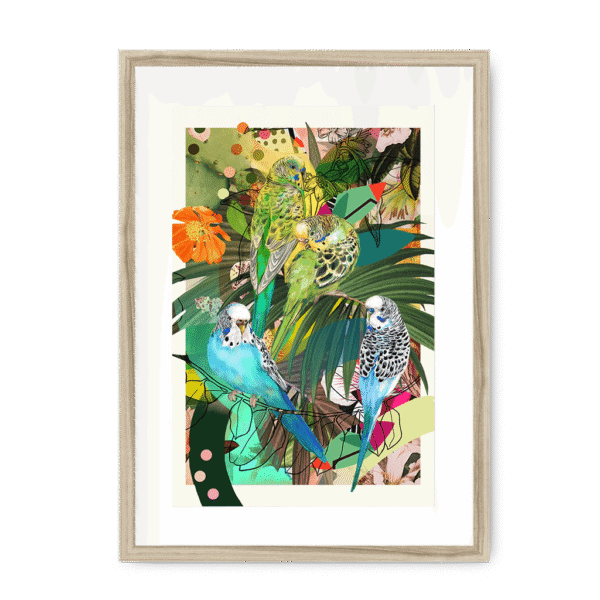 3231-mounted-natural-blooming-budgerigars-framed-with-a-mount-print-29154937962652-8.png