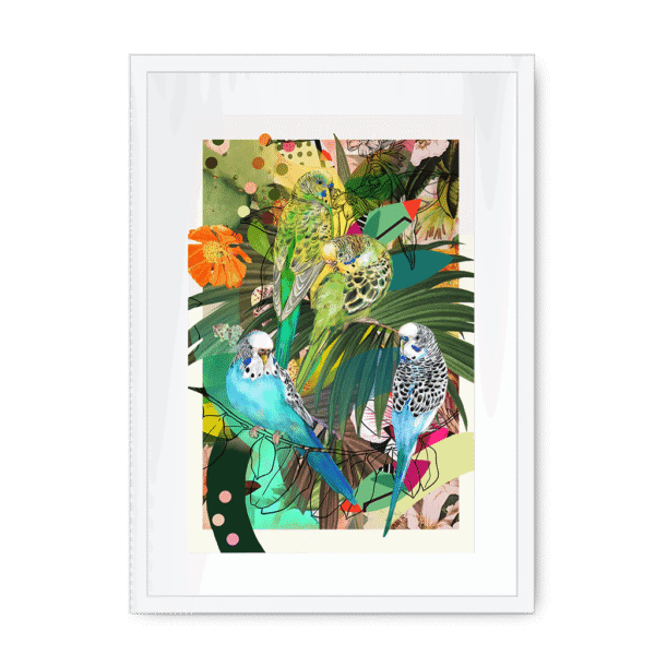 3231-mounted-white-blooming-budgerigars-framed-with-a-mount-print-29154937864348-8.png