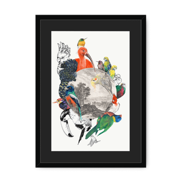 3233-framed-black-black-mount-le-beak-c-est-chic-framed-print-31620167041180-16.png