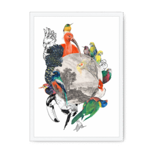 Le Beak C'est Chic Framed Print