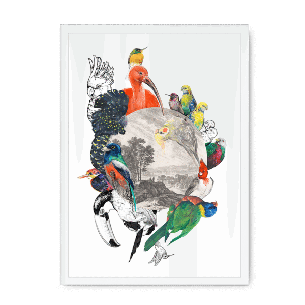 3233-framed-black-le-beak-c-est-chic-framed-print-31620166680732-20.png