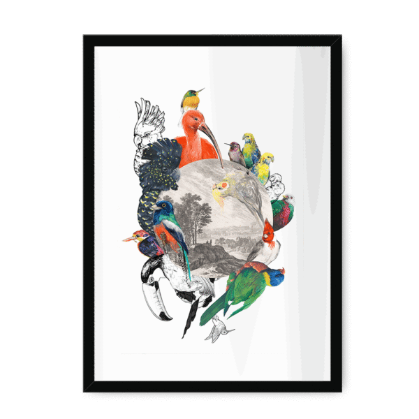 3233-framed-black-white-mount-le-beak-c-est-chic-framed-print-31620167008412-16.png