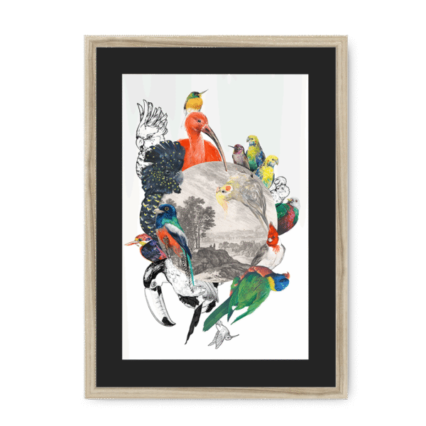 3233-framed-natural-black-mount-le-beak-c-est-chic-framed-print-31620167106716-16.png