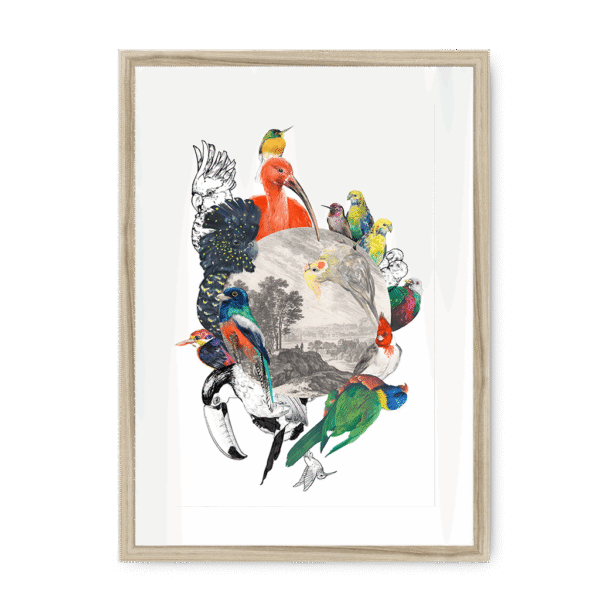 3233-framed-natural-white-mount-le-beak-c-est-chic-framed-print-31620167073948-16.png
