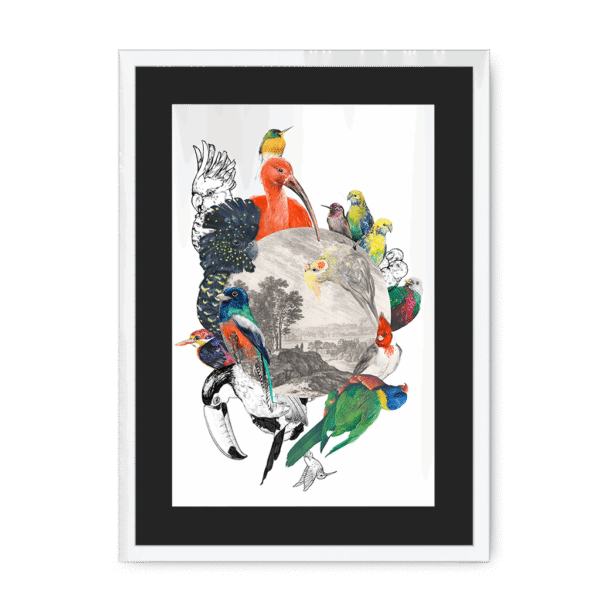 3233-framed-white-black-mount-le-beak-c-est-chic-framed-print-31620166975644-16.png