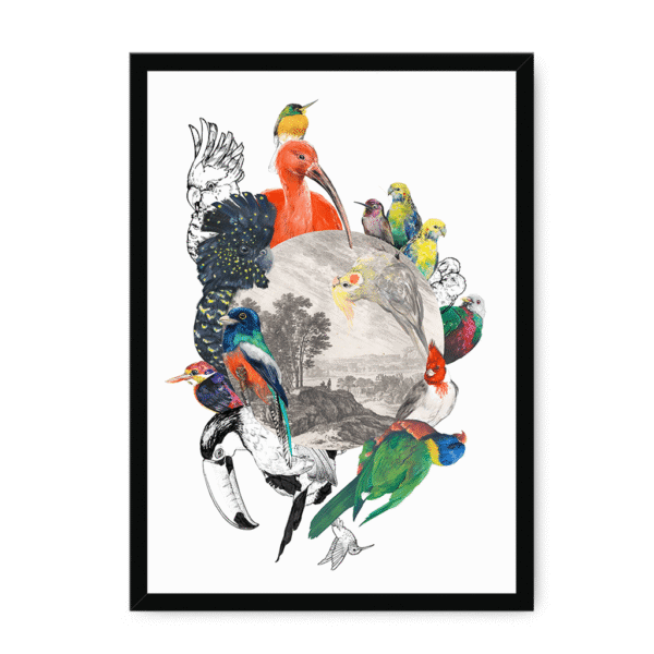 3233-framed-white-le-beak-c-est-chic-framed-print-31620166713500-20.png