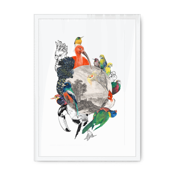 3233-framed-white-white-mount-le-beak-c-est-chic-framed-print-31620166942876-16.png