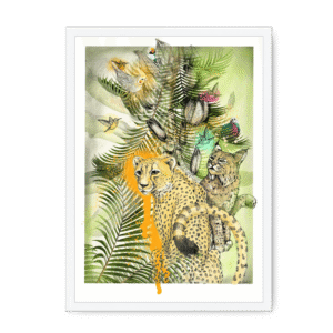 Big Cat Tropicana Framed Print