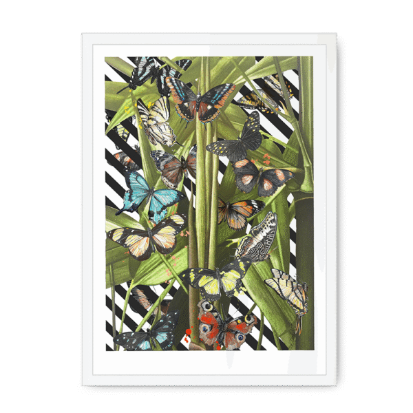 3236-framed-black-butterfly-tropicana-framed-print-31619749970076-15.png 3236-framed-black-butterfly-tropicana-framed-print-31619749970076-15.png