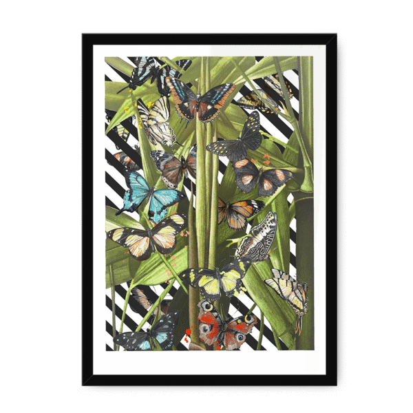 3236-framed-white-butterfly-tropicana-framed-print-31619750002844-15.png 3236-framed-white-butterfly-tropicana-framed-print-31619750002844-15.png