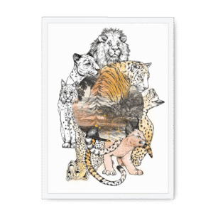 Cataloupe Framed Print