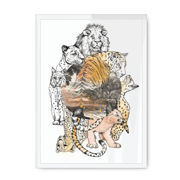 3237-framed-black-cataloupe-framed-print-31620135223452-21.png