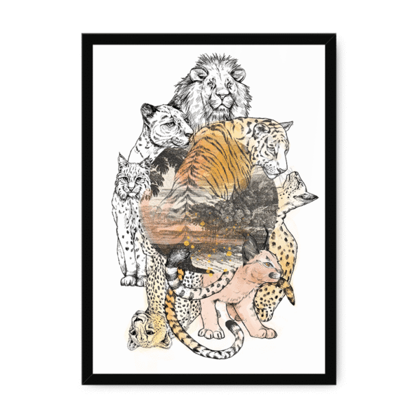 3237-framed-white-cataloupe-framed-print-31620135256220-22.png