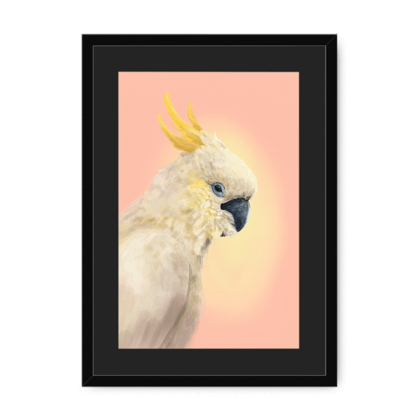39118-framed-black-black-mount-cockatwos-white-framed-print-31634024759452-15.png