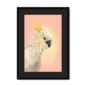 39118-framed-black-black-mount-cockatwos-white-framed-print-31634024759452-15.png