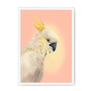 CockaTwos White Framed Print