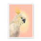 39118-framed-black-cockatwos-white-framed-print-31634024431772-19.png
