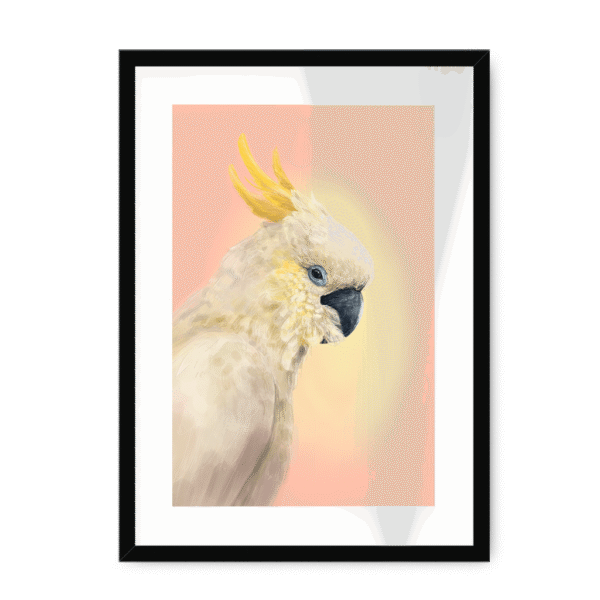 39118-framed-black-white-mount-cockatwos-white-framed-print-31634024726684-15.png