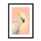 39118-framed-black-white-mount-cockatwos-white-framed-print-31634024726684-15.png