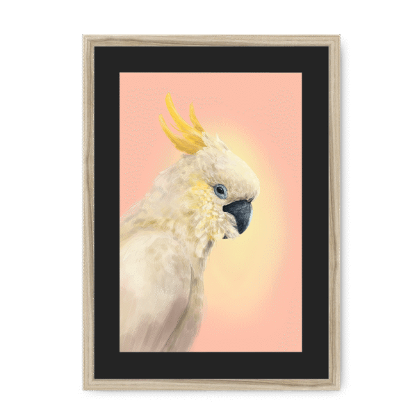 39118-framed-natural-black-mount-cockatwos-white-framed-print-31634024824988-15.png