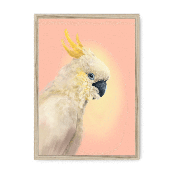 39118-framed-natural-cockatwos-white-framed-print-31634024497308-19.png