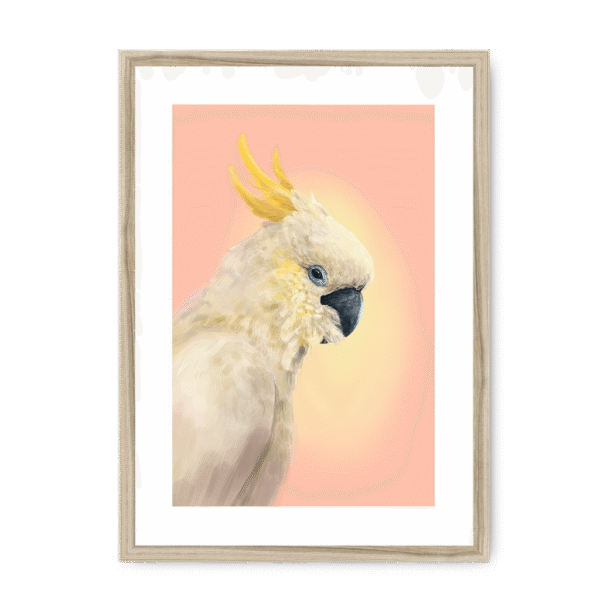 39118-framed-natural-white-mount-cockatwos-white-framed-print-31634024792220-16.png