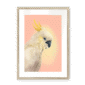 39118-framed-natural-white-mount-cockatwos-white-framed-print-31634024792220-16.png