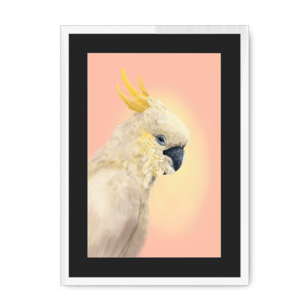 39118-framed-white-black-mount-cockatwos-white-framed-print-31634024693916-15.png