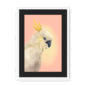 39118-framed-white-black-mount-cockatwos-white-framed-print-31634024693916-15.png